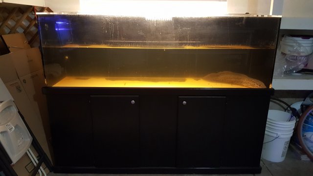 20170115_143906.jpg