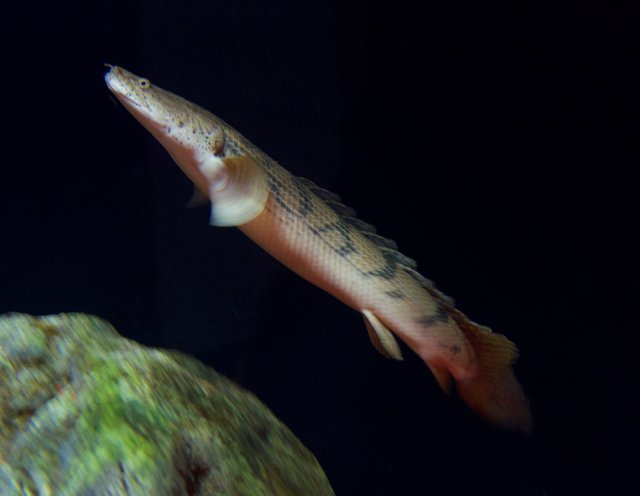 DSC_7992.jpg