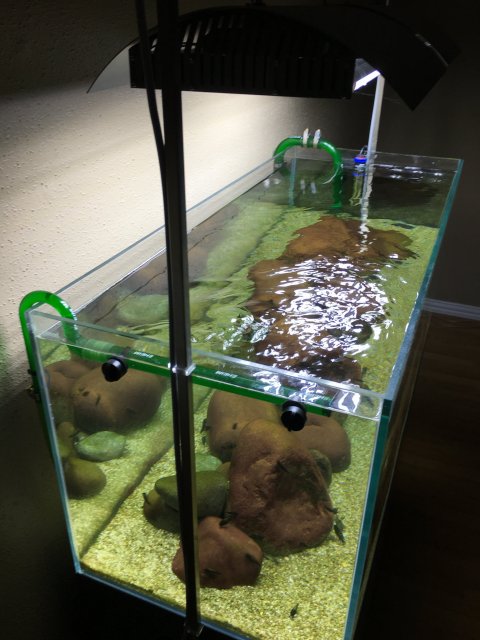 IMG_0249.JPG IMG_0249.JPG