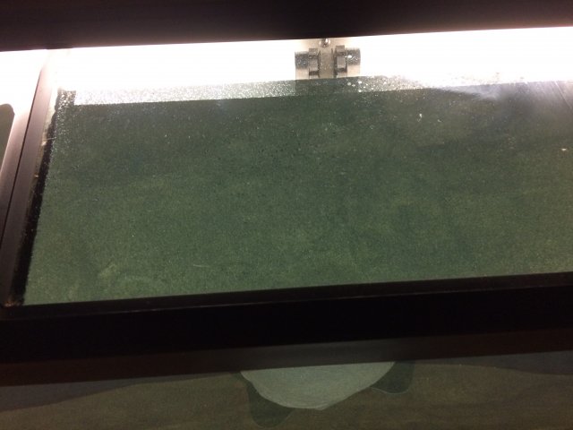 IMG_1936.JPG IMG_1936.JPG