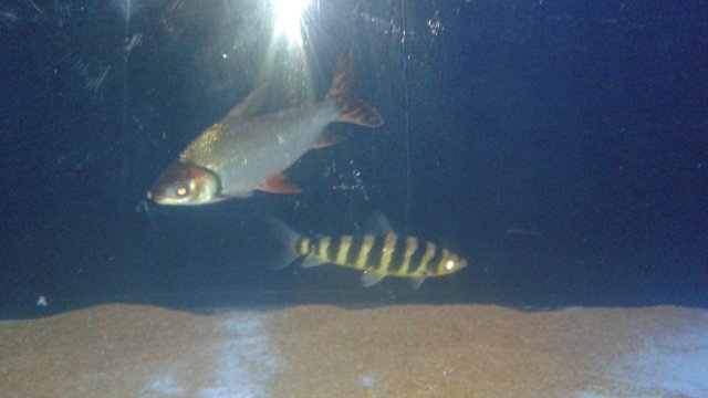 20160719_001613.jpg