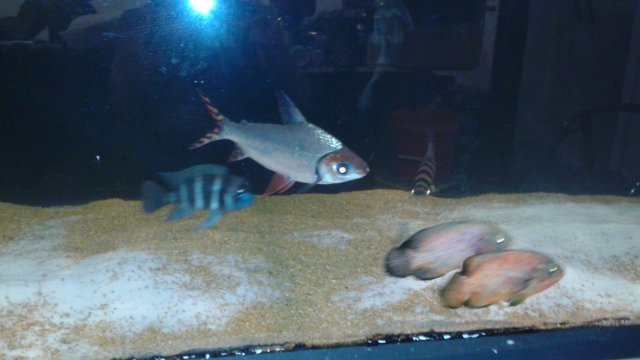 20160731_175956.jpg