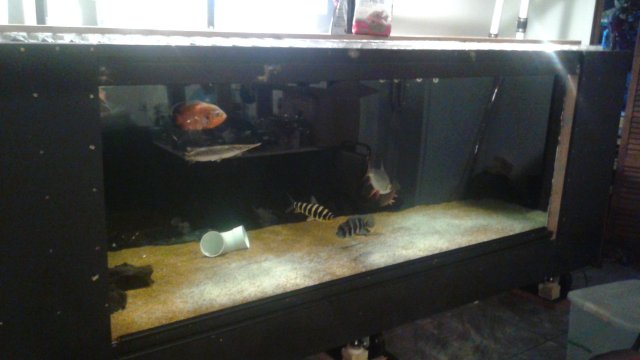 20160917_181006.jpg