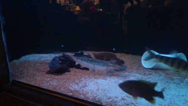 20160917_203254.jpg