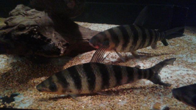 20161018_222107.jpg