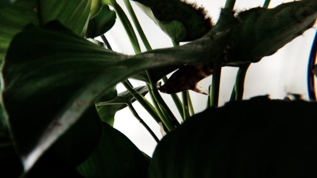 IMG_20170112_085917.jpg