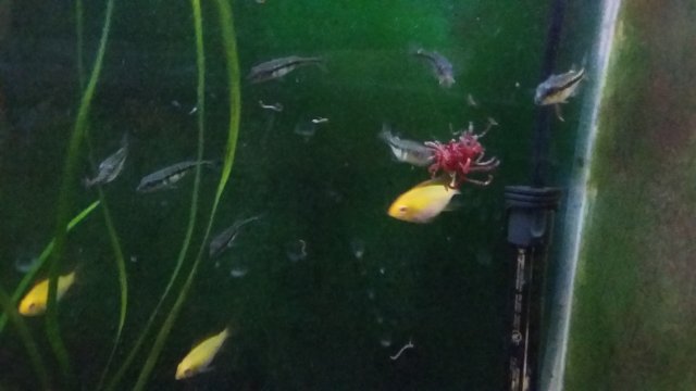 20170116_110944.jpg