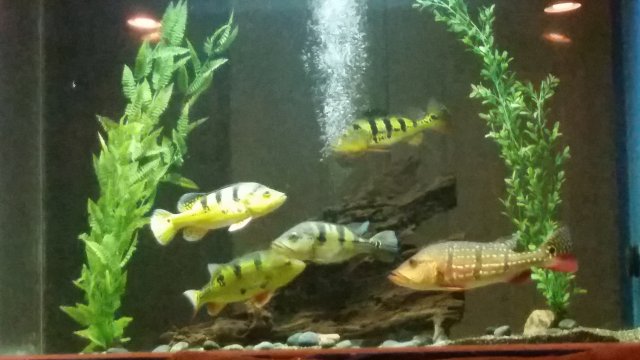 20160925_195806.jpg
