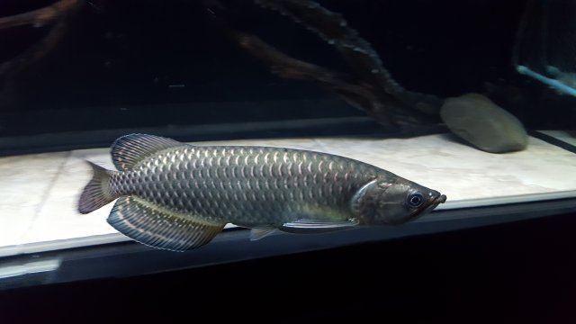 20170116_190518.jpg