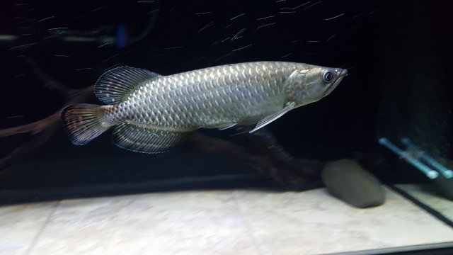 20170116_190922.jpg