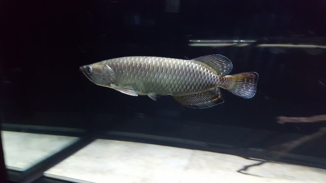 20170116_190251.jpg
