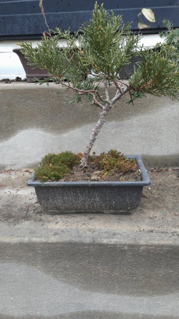 20170117_122724.jpg