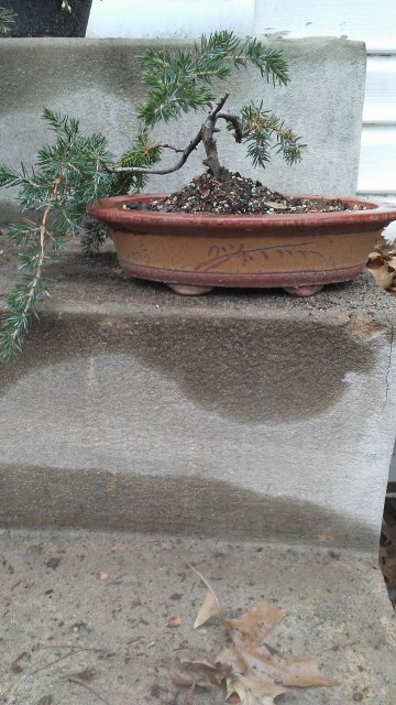 20170117_122828.jpg