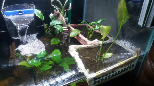 20170116_221040.jpg