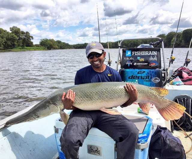 SRD Big Alligator Gar 9.2016.jpg