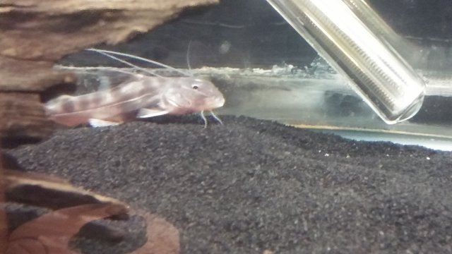20170119_204833.jpg