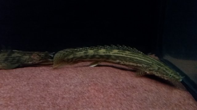 20170119_220752.jpg