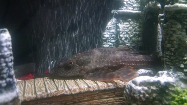 IMG_20161204_234143000.jpg IMG_20161204_234143000.jpg