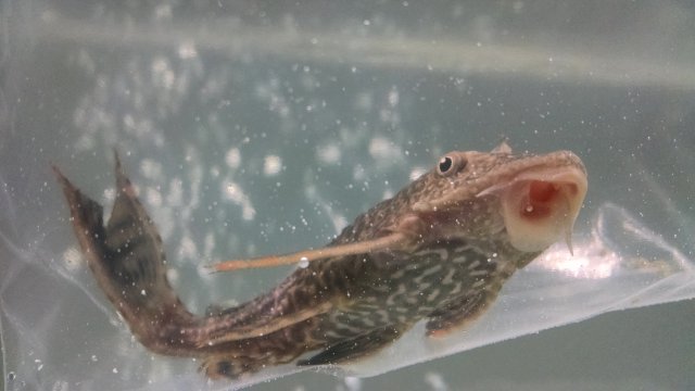 IMG_20170116_200351400.jpg IMG_20170116_200351400.jpg