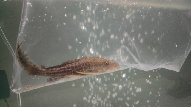 IMG_20170116_203157702.jpg IMG_20170116_203157702.jpg