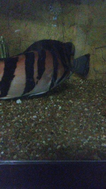 20170120_104323_Burst01.jpg