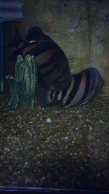 20170120_104427.jpg