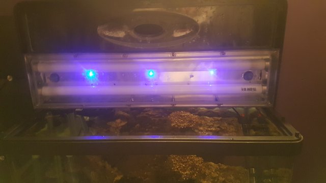20170120_185616.jpg