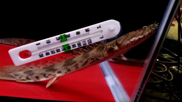 2017-01-20 19.01.26.jpg