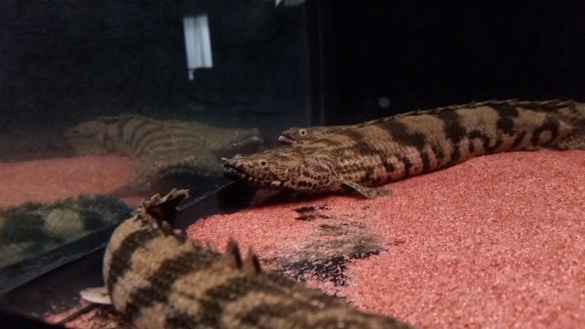 20170121_091729.jpg