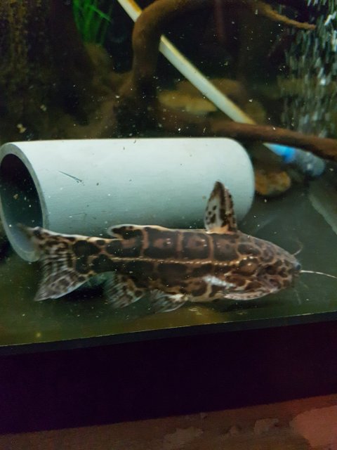 20170107_192907.jpg 20170107_192907.jpg
