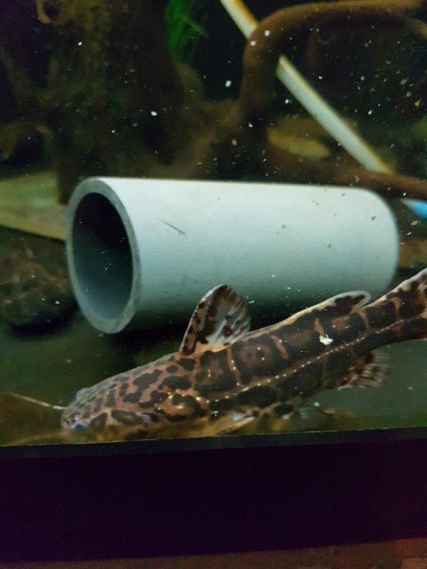 20170107_192914.jpg 20170107_192914.jpg