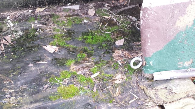 20151128_150754.jpg 20151128_150754.jpg