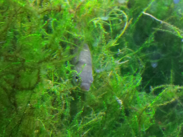 20160122_072157.jpg 20160122_072157.jpg