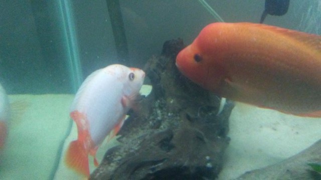 20170120_181738.jpg