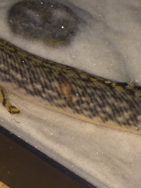 IMG_2460.JPG IMG_2460.JPG