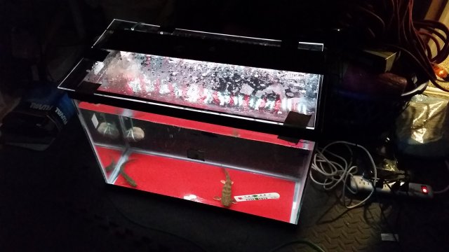 20170122_184632.jpg 20170122_184632.jpg