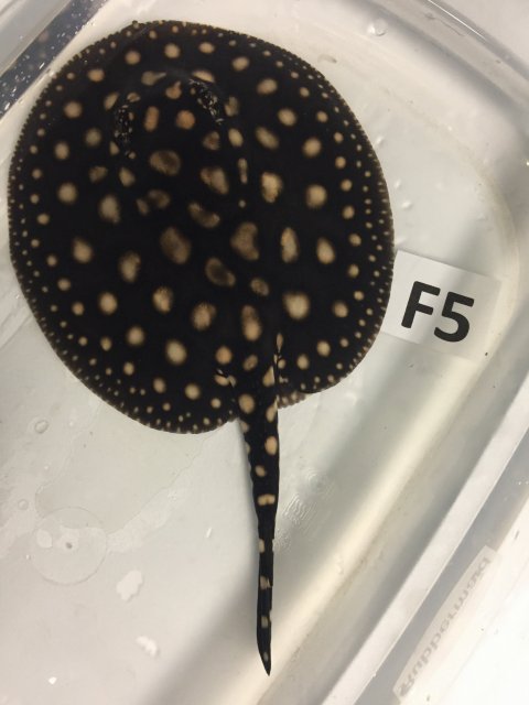 IMG_4110.JPG IMG_4110.JPG