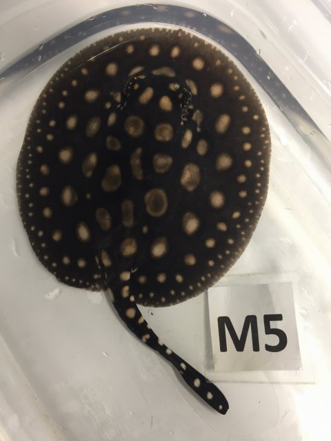 IMG_4094.JPG IMG_4094.JPG