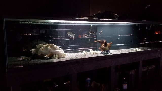 20161231_175343.jpg