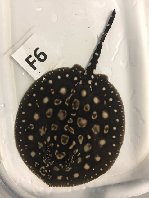 IMG_4084.JPG IMG_4084.JPG