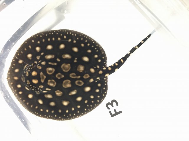 IMG_4073.JPG IMG_4073.JPG