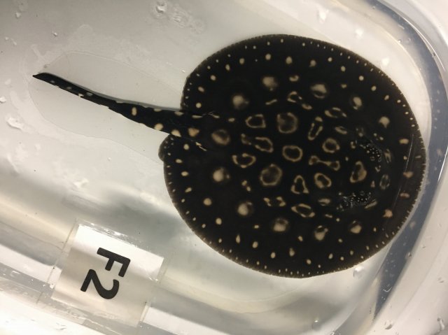 IMG_4064.JPG IMG_4064.JPG