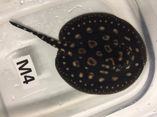 IMG_4058.JPG IMG_4058.JPG