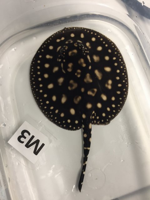 IMG_4031.JPG IMG_4031.JPG