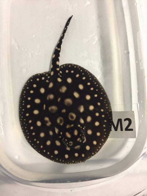 IMG_4020.JPG IMG_4020.JPG