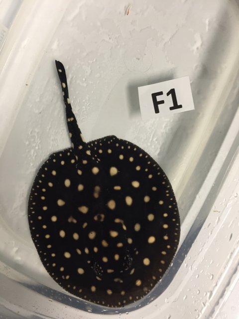 IMG_3933.JPG IMG_3933.JPG