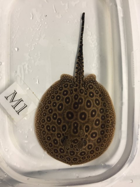 IMG_3974.JPG IMG_3974.JPG