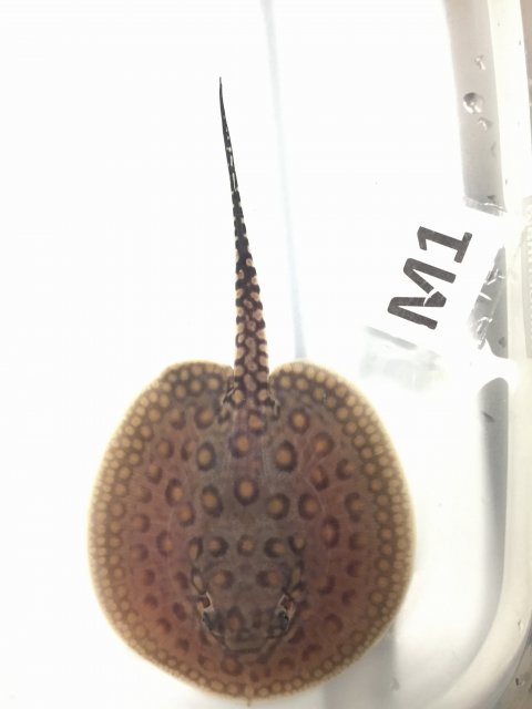 IMG_4041.JPG IMG_4041.JPG