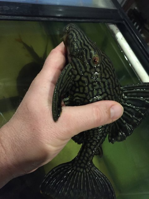 IMG_2276.JPG IMG_2276.JPG