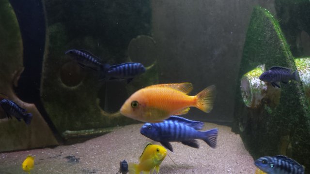 20170124_174613.jpg